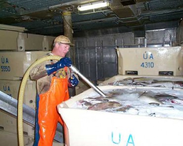 Sea Harvest Benefits from North Star Liquid Ice