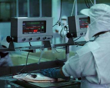 Salmones Pacific Sur